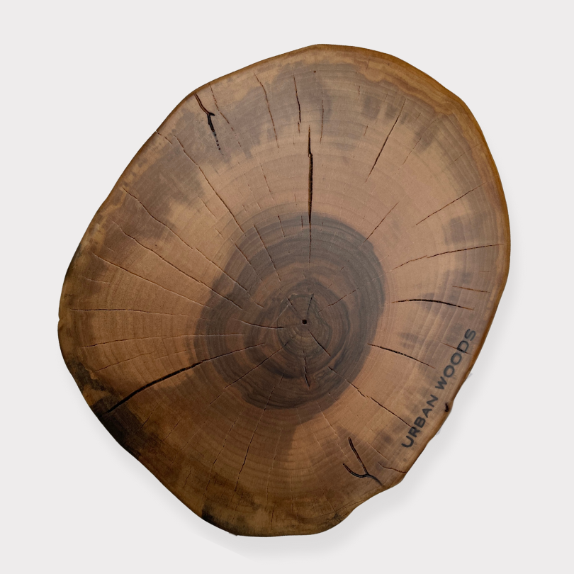 Masa de cafea din nuc X1220 32cm