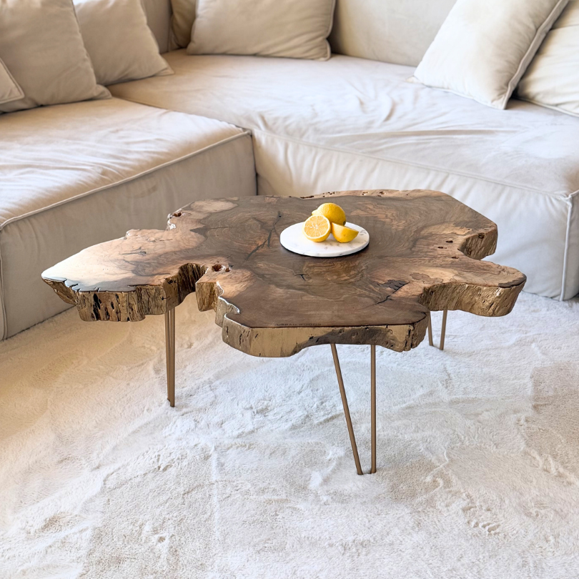 Masa de cafea din nuc R2506 105x76cm