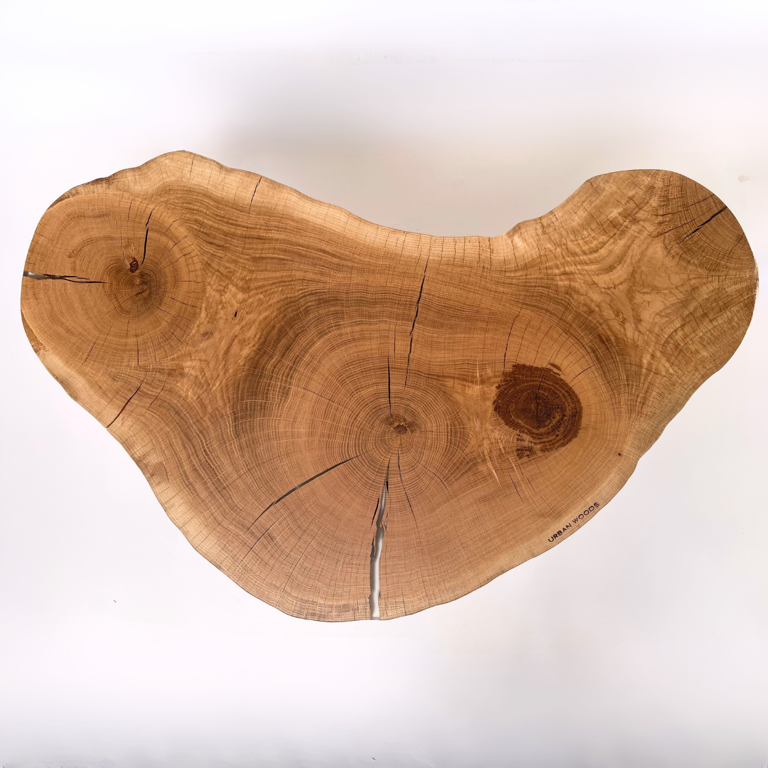 Masa de cafea din stejar AX174 105cm