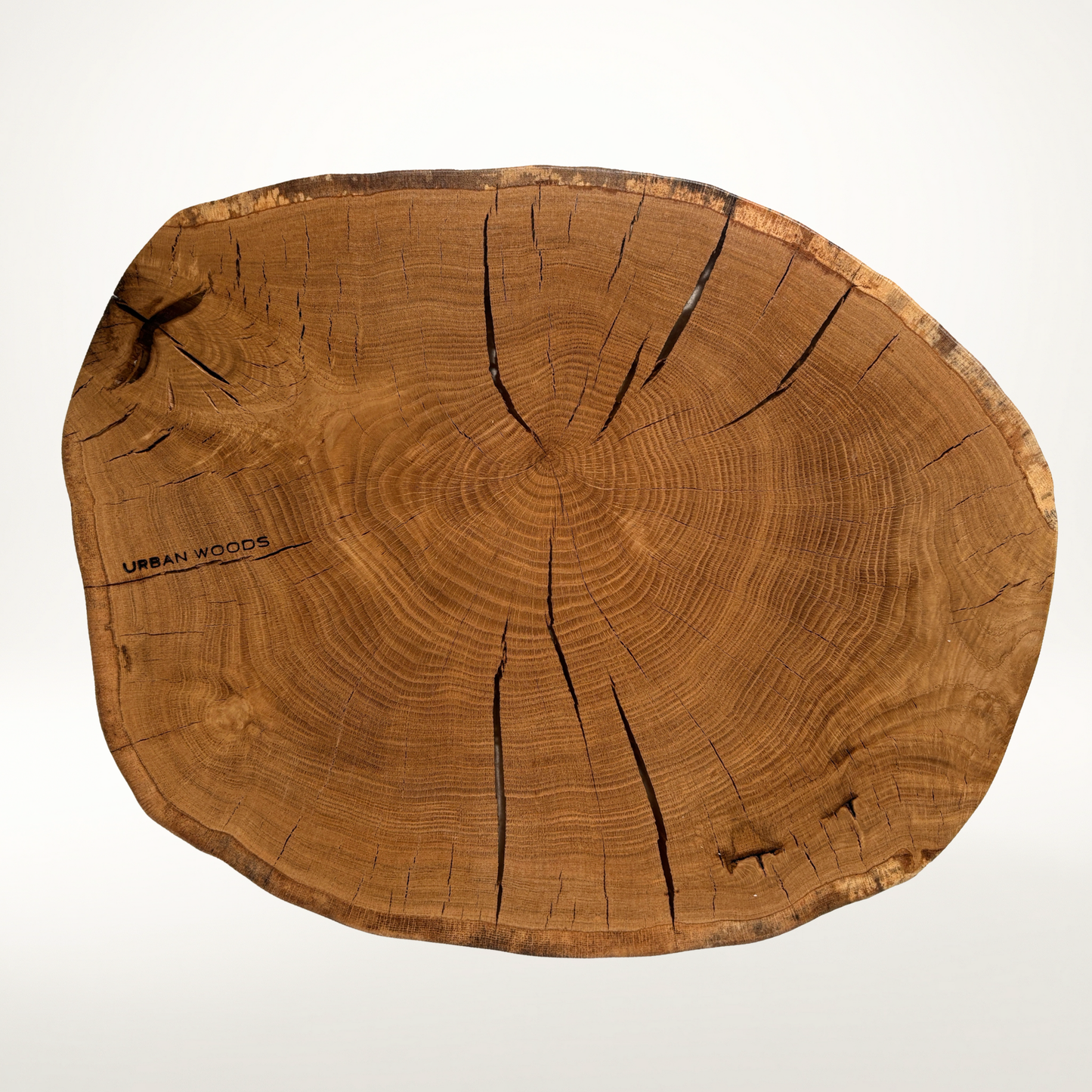 Masa de cafea din stejar AX323 58cm