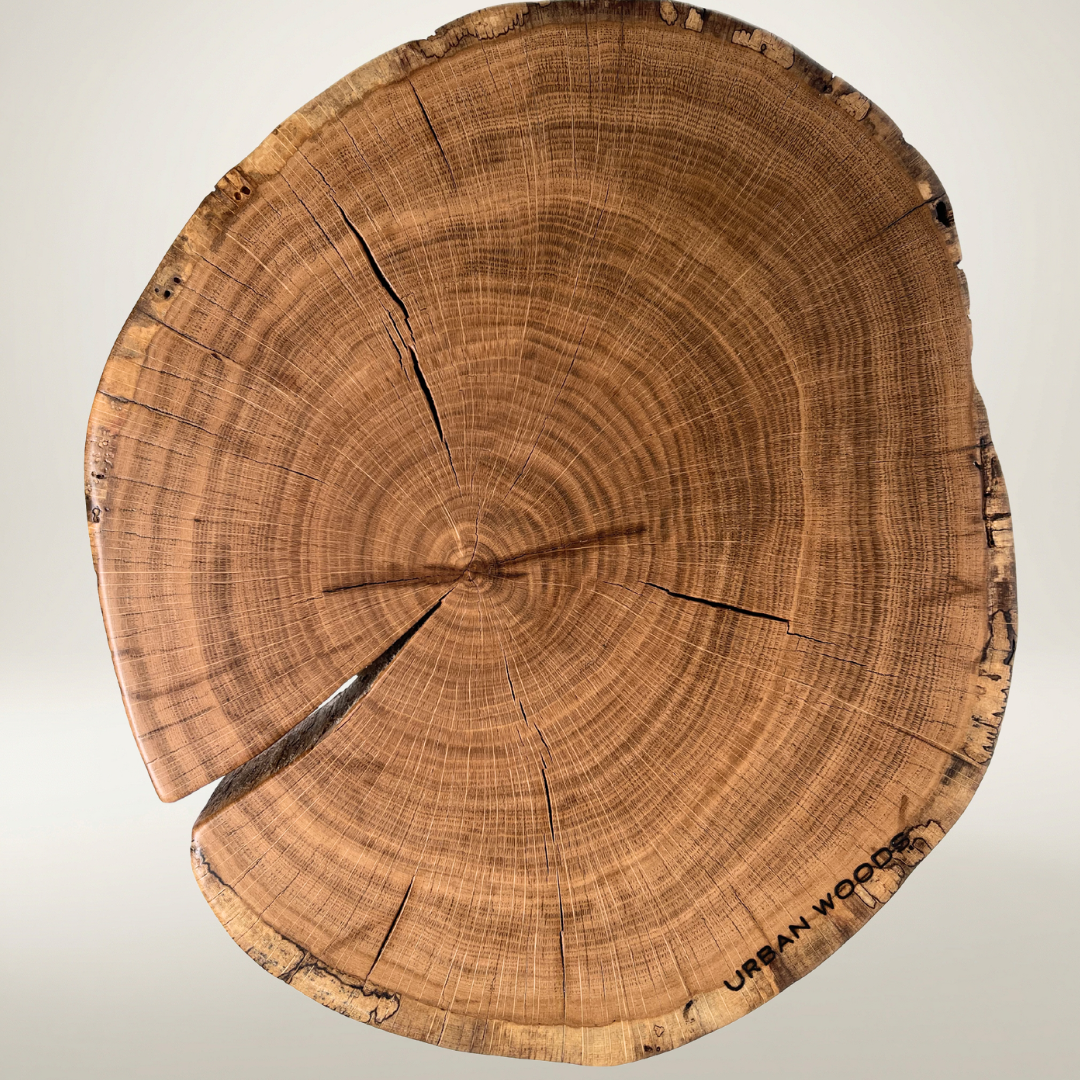 Masa de cafea din stejar AX230 39cm