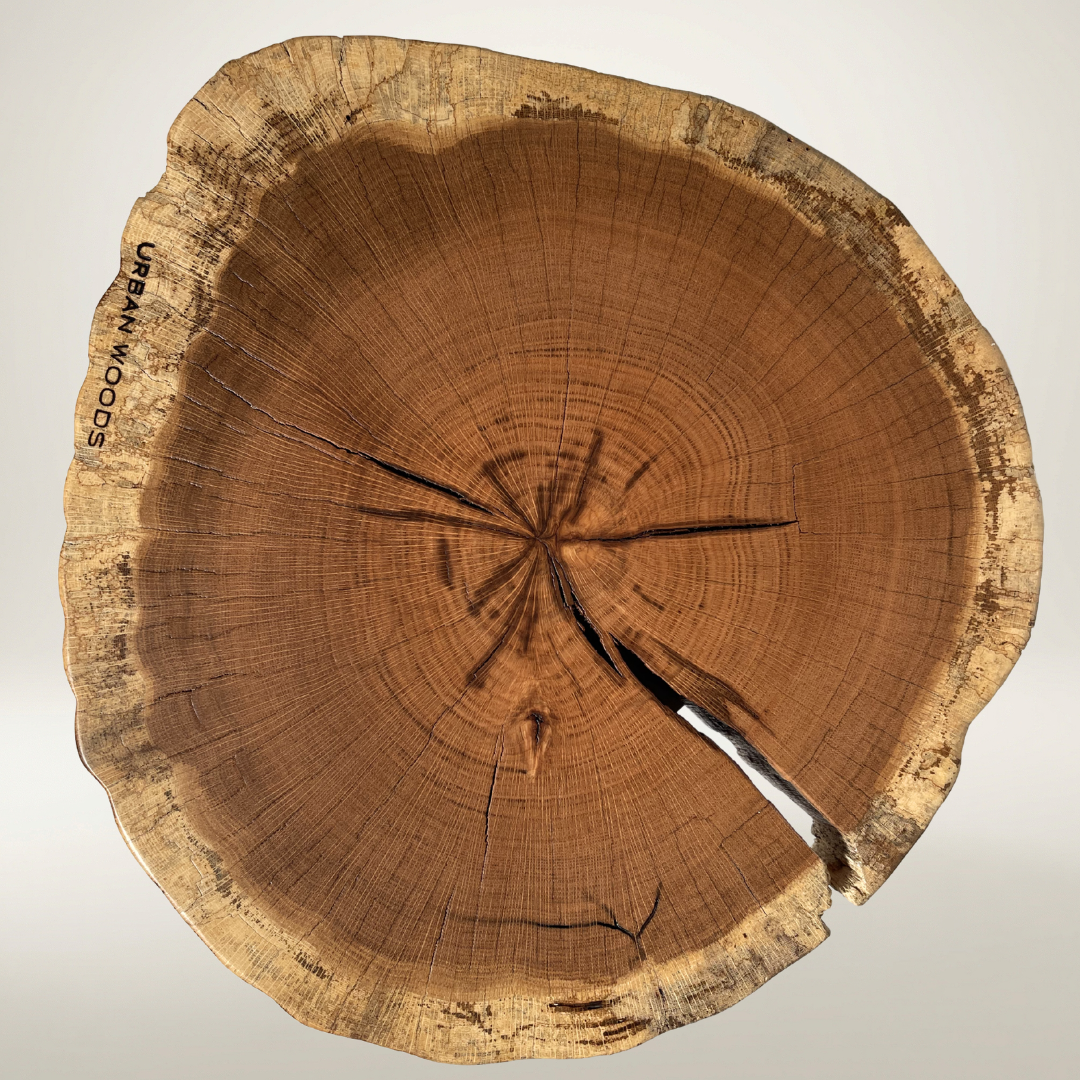 Masa de cafea din stejar AX222 45cm