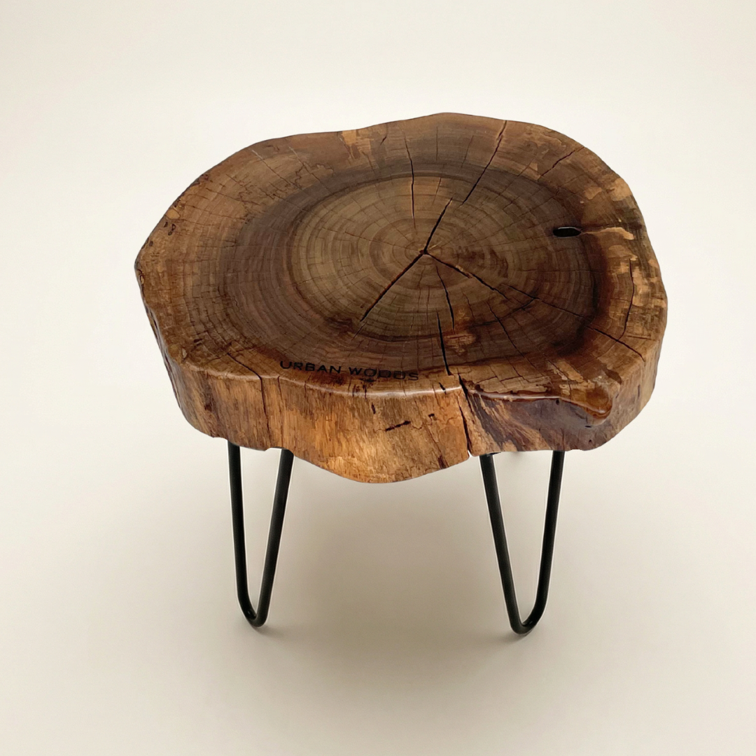 Masa de cafea din nuc AX217 34cm